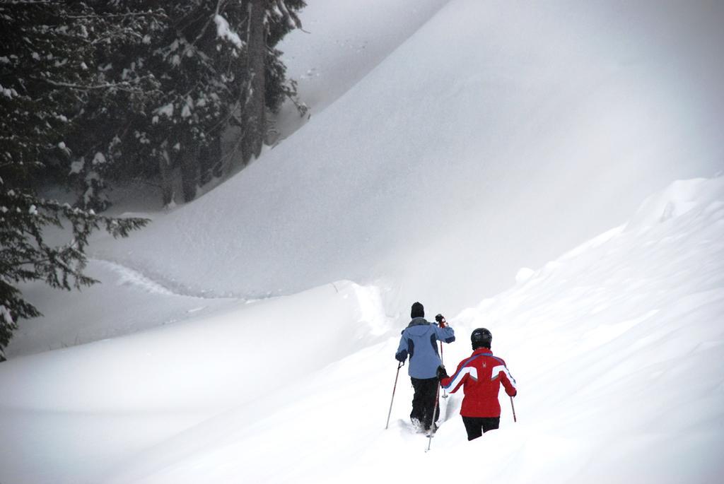 Schweitzer Mountain Resort White Pine Lodge Sandpoint Bagian luar foto